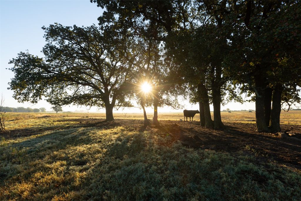 TBD Brushy Road Tract 2 & 3, Granbury, TX 76048