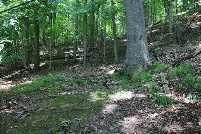 50 Heather Drive, Penfield, NY 14625