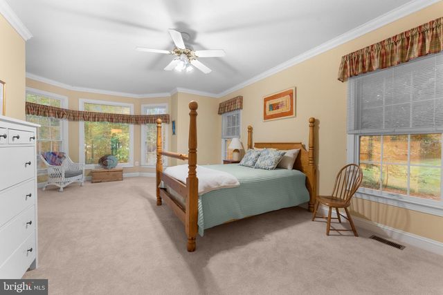 17246 PEPPERSTOCK LN, Jeffersonton, VA 22724