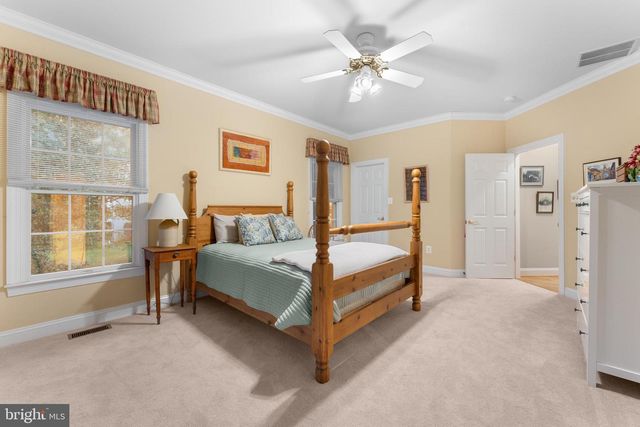 17246 PEPPERSTOCK LN, Jeffersonton, VA 22724