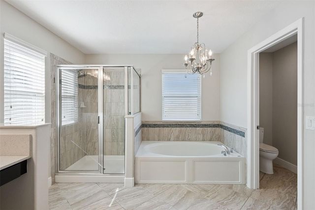 14553 DRIFTWOOD COURT, Winter Garden, FL 34787