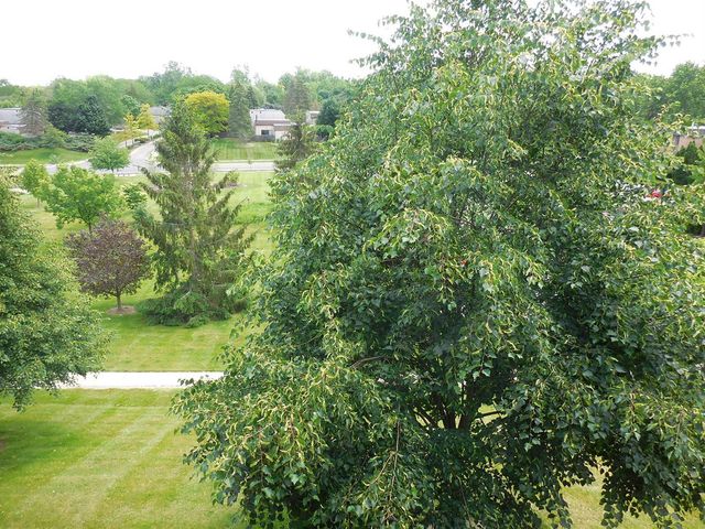 2116 Pauline Boulevard 302, Ann Arbor, MI 48103