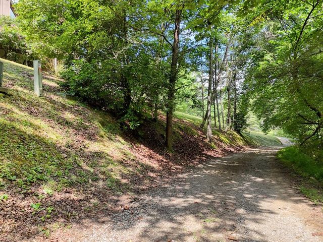1924 Cook Bridge Road, Murphy, NC 28906