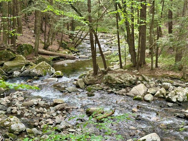 130 Village Road, Langdon, NH 03602