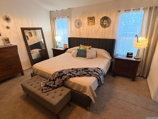 145 Scarlet Macaw, San Antonio, TX 78253