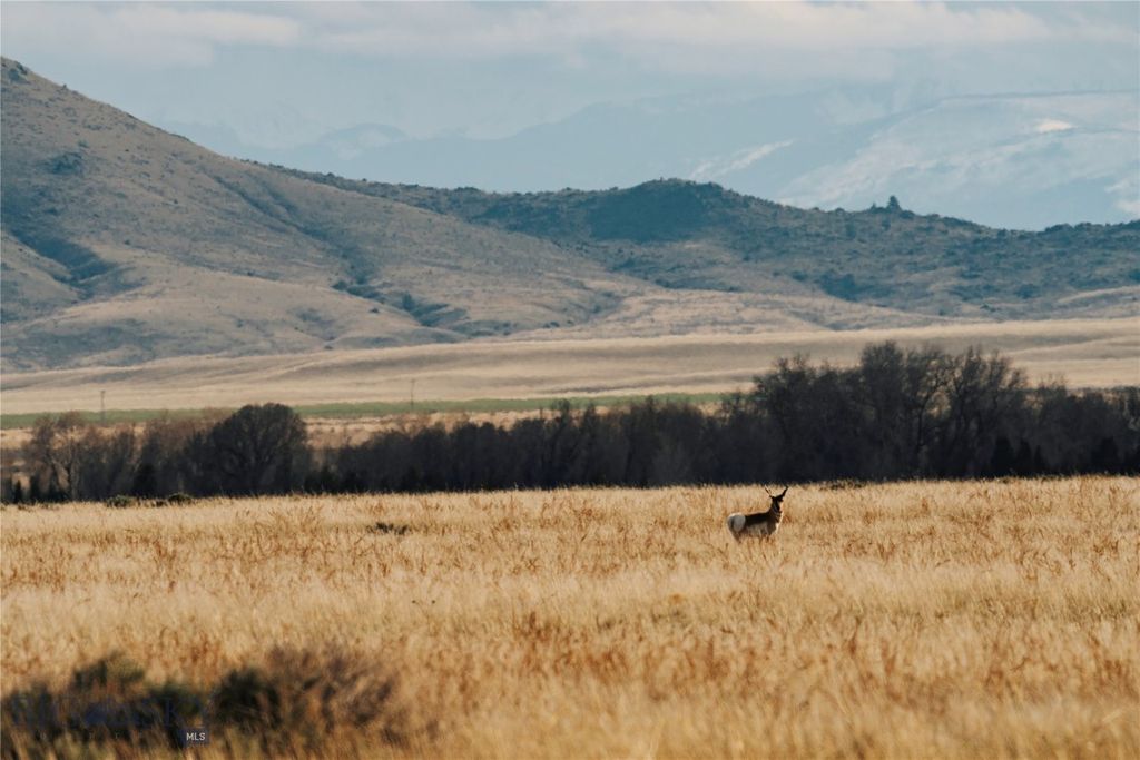 TBD Bradley Road, Toston, MT 59643 photo 8