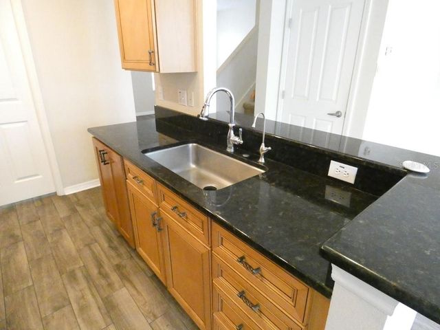 11506 FOUNTAINHEAD DRIVE, Tampa, FL 33626