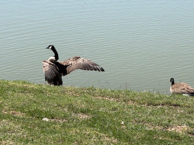 8729 Lake Meadows Lane, Fort Worth, TX 76053