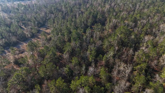 TBD Baskin Loop, Livingston, TX 77351