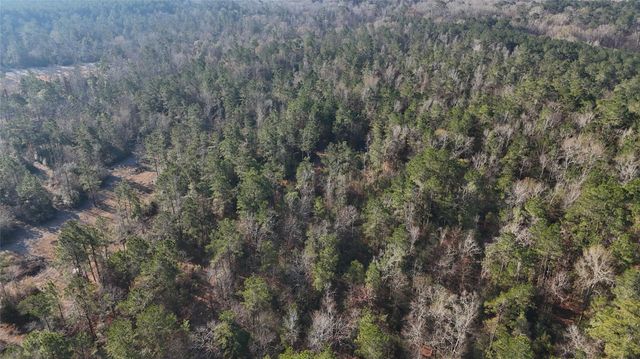 TBD Baskin Loop, Livingston, TX 77351