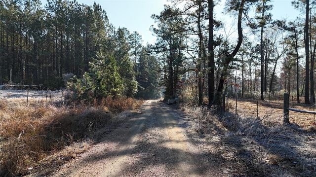 TBD Baskin Loop, Livingston, TX 77351