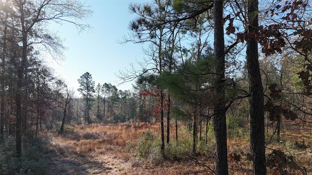 TBD Baskin Loop, Livingston, TX 77351