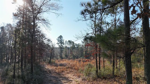 TBD Baskin Loop, Livingston, TX 77351