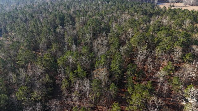 TBD Baskin Loop, Livingston, TX 77351