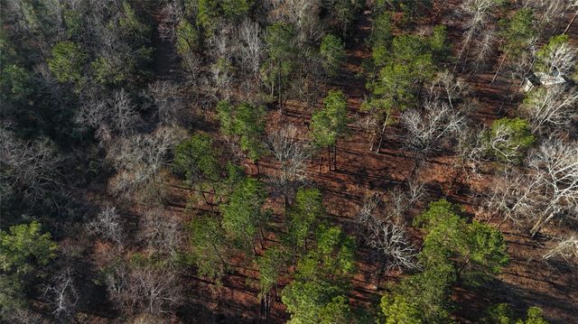 TBD Baskin Loop, Livingston, TX 77351