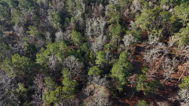 TBD Baskin Loop, Livingston, TX 77351