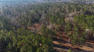 TBD Baskin Loop, Livingston, TX 77351