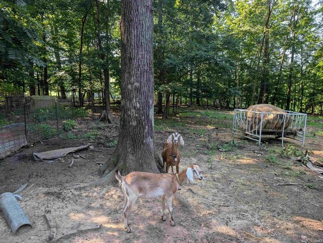 6774 Asbell Road, Shoals, IN 47581