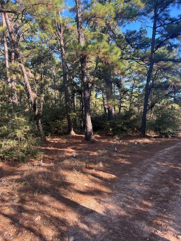Lot 43 Pine Lodge DR, Bastrop, TX 78602