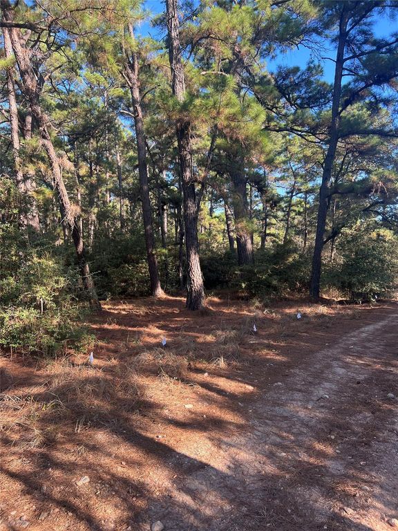 Lot 43 Pine Lodge DR, Bastrop, TX 78602