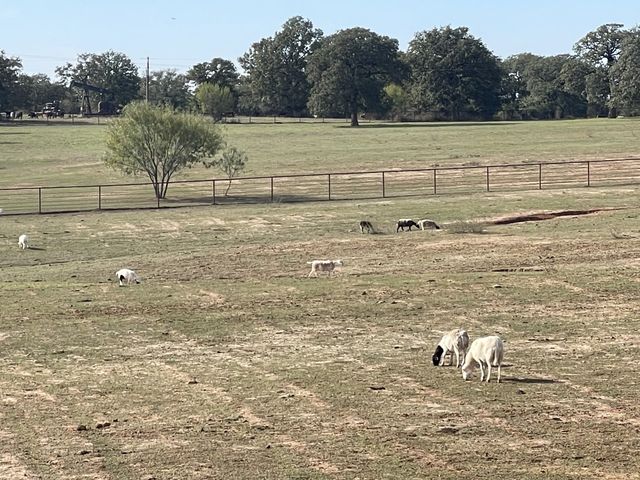 4487 N US Highway 287, Alvord, TX 76225