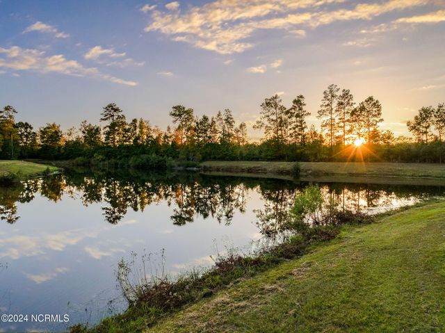 115 Mimosa Court, Wallace, NC 28466