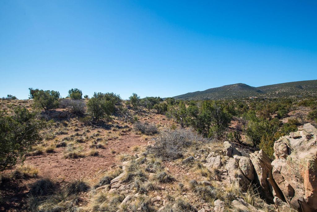 234 N Wild Primrose, Placitas, NM 87043