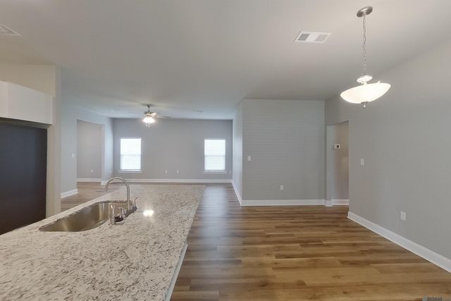 13772 Willowmore Dr, Denham Springs, LA 70726