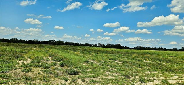 MAMMOTH GROVE ROAD, Lake Wales, FL 33898