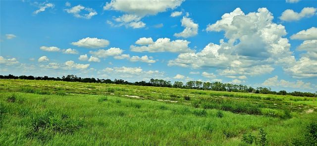 MAMMOTH GROVE ROAD, Lake Wales, FL 33898