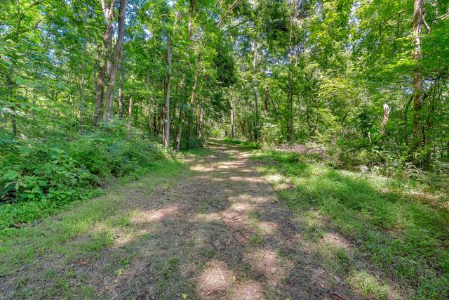 0 Wolf Hill Road, Bethpage, TN 37022