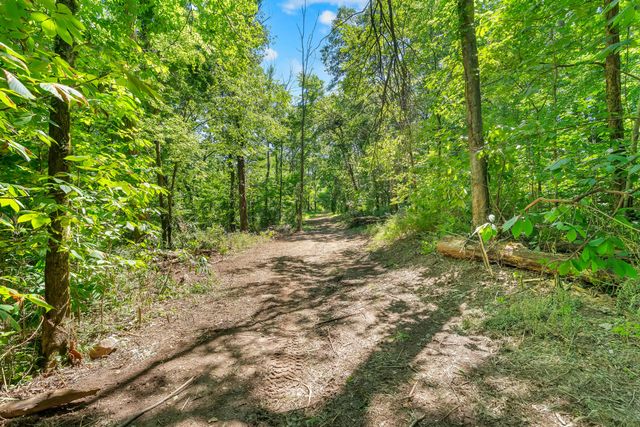0 Wolf Hill Road, Bethpage, TN 37022