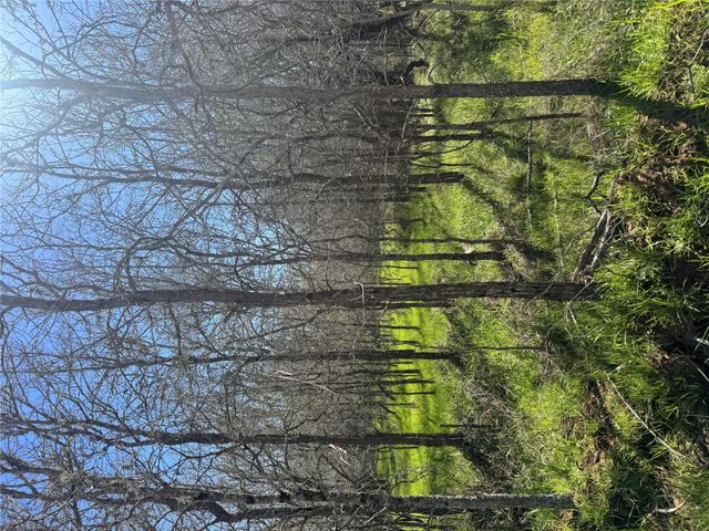 291 Kolekole LN, Bastrop, TX 78602