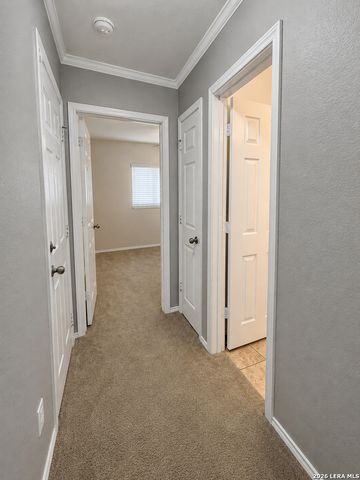 331 PALMA NOCE, San Antonio, TX 78253