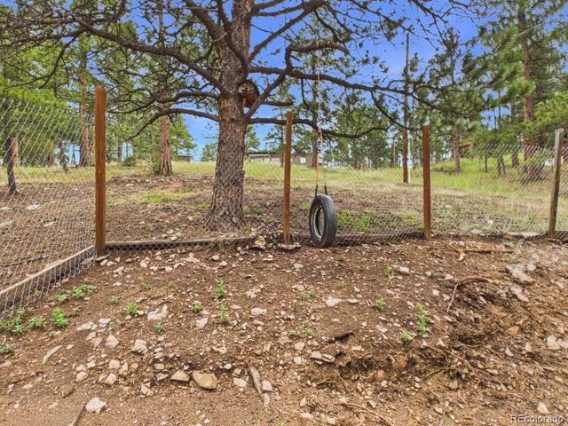 784 Mockingbird Trl, Bailey, CO 80421