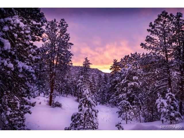 784 Mockingbird Trl, Bailey, CO 80421
