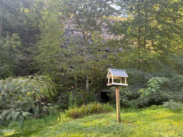 103 Branam Hollow Lane, Gatlinburg, TN 37738