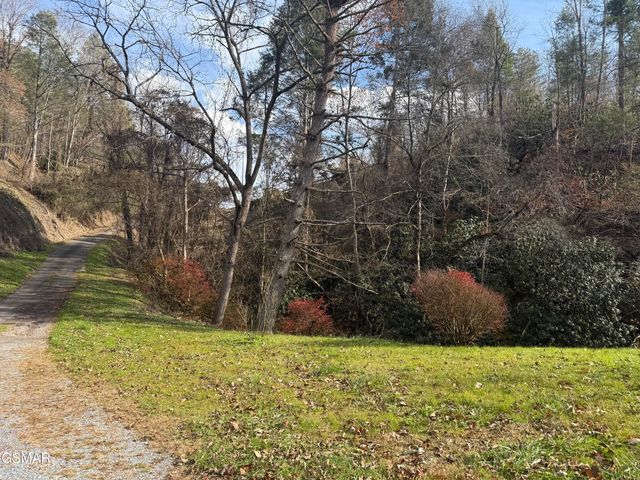 103 Branam Hollow Lane, Gatlinburg, TN 37738