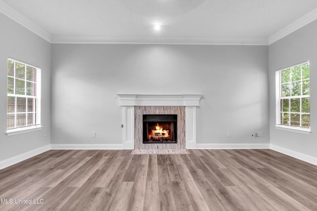 9897 Alexanders Ridge Drive, Olive Branch, MS 38654