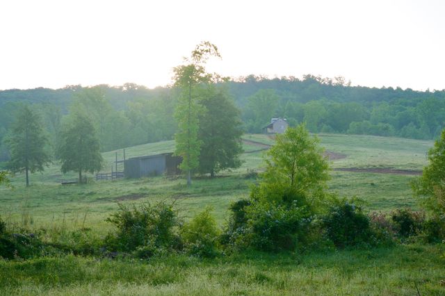 40A Barker Cove Loop, Palmer, TN 37365