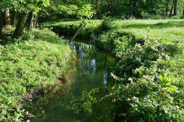 40A Barker Cove Loop, Palmer, TN 37365