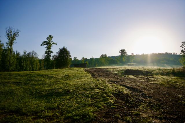 40A Barker Cove Loop, Palmer, TN 37365