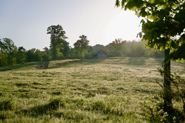 40A Barker Cove Loop, Palmer, TN 37365