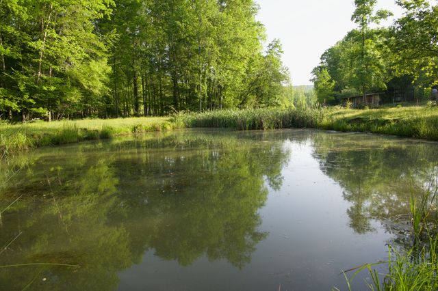 40A Barker Cove Loop, Palmer, TN 37365