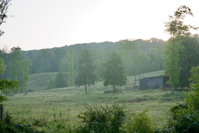 40A Barker Cove Loop, Palmer, TN 37365