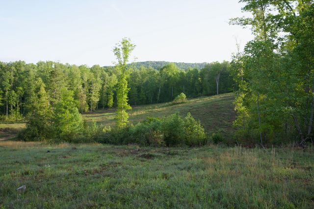 40A Barker Cove Loop, Palmer, TN 37365