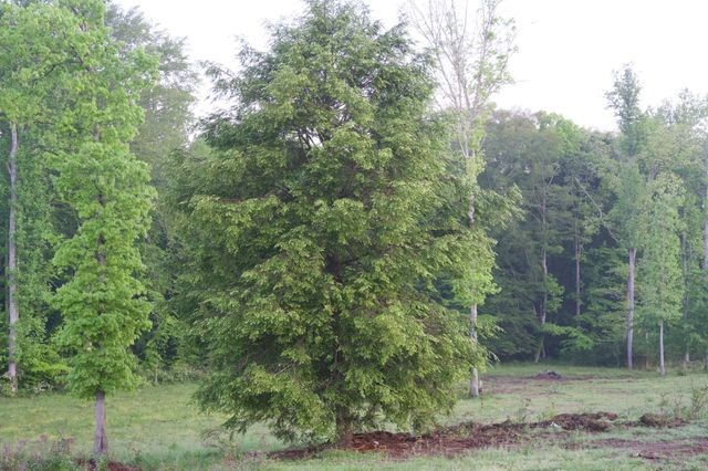 40A Barker Cove Loop, Palmer, TN 37365