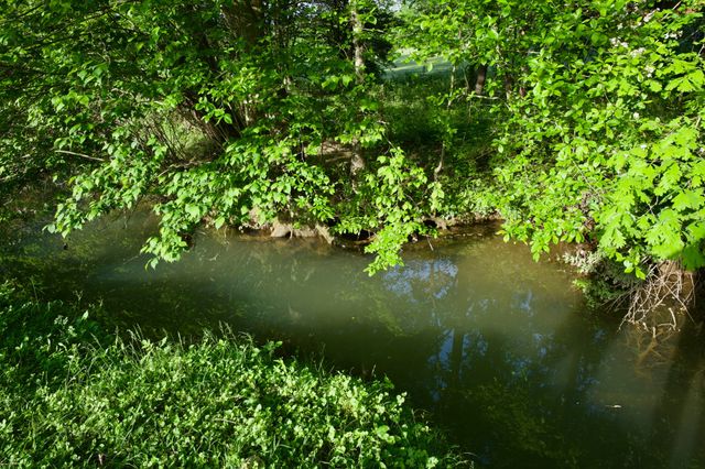 40A Barker Cove Loop, Palmer, TN 37365