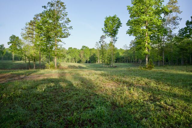 40A Barker Cove Loop, Palmer, TN 37365