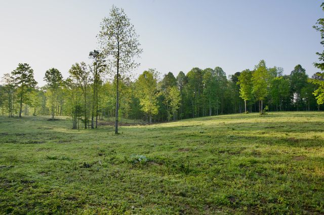 40A Barker Cove Loop, Palmer, TN 37365